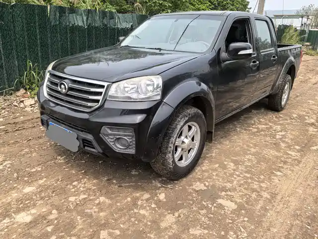 Great Wall Wing Jun 5 Fengjun 5 2017 2.0t European Version Diesel Two-Wheel Drive Aggressive Large Double Row Gw4d20e — фото