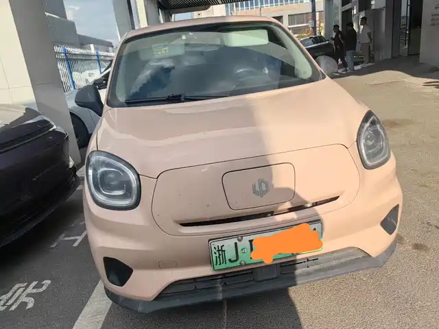 Leap Car Zero Running T03 Leapmoo T03 2022 Special Edition — фото