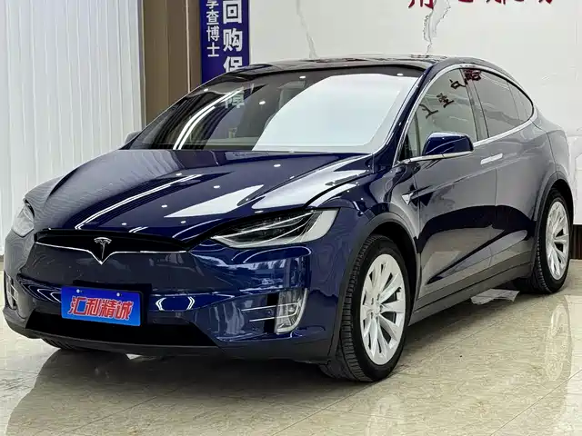 Tesla Model X Model X 2017 Model X 100d Long Range Edition — фото