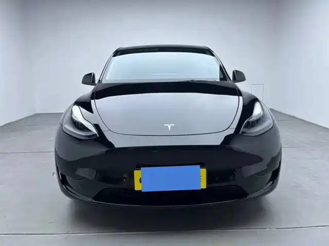 Tesla Model Y Model Y 2023 Rear-Wheel Drive Version — фото