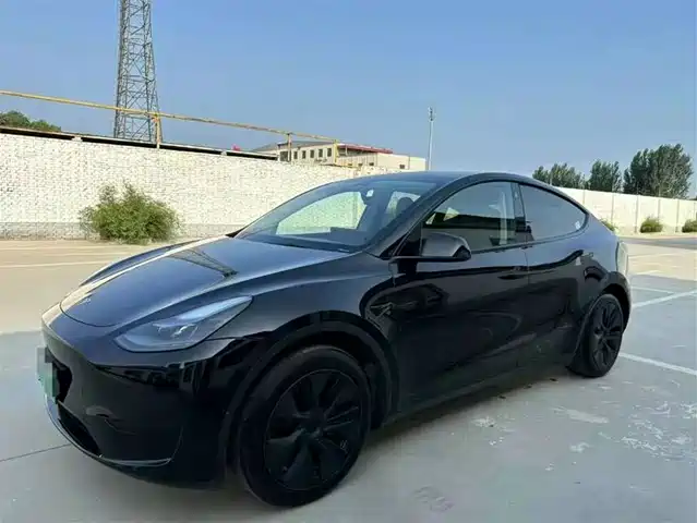 Tesla Model Y Model Y 2024 Rear-Wheel Drive Version