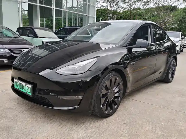Tesla Model Y Model Y 2021 Performance High-Performance All-Wheel Drive Version