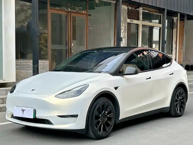 Tesla Model Y Model Y 2021 Long-Range All-Wheel Drive Version — фото
