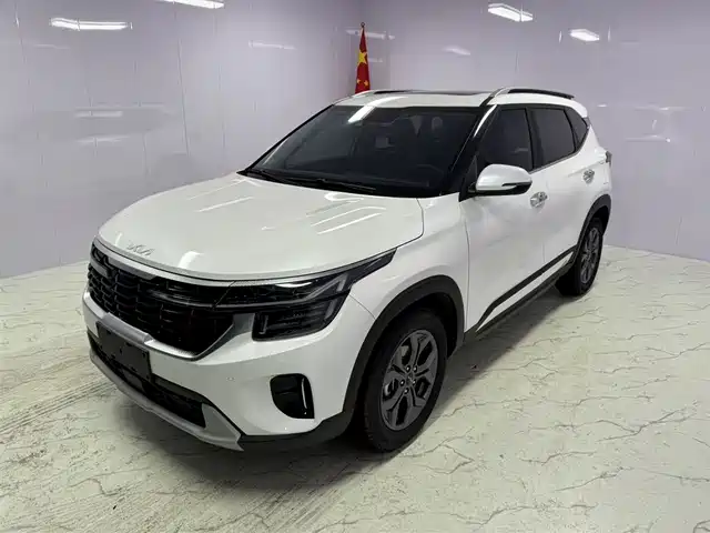 Kia Sethus Sethus 2023 1.5l Cvt Deluxe Edition — фото