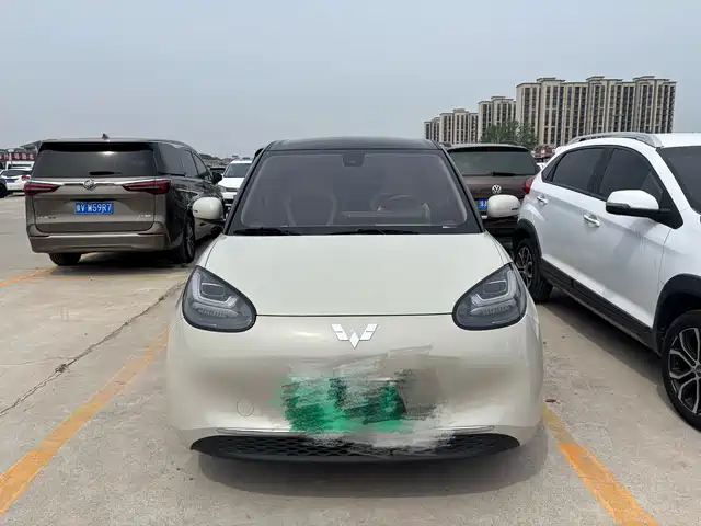 Wuling Motors Wuling Bingo Wuling Bingo 2023 Model 333km Express Model