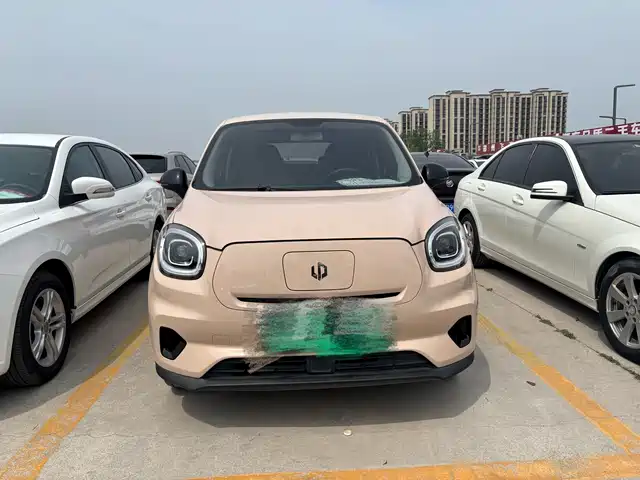 Leap Car Zero Running T03 Leapmoon T03 2021 400 Light Edition Lithium Iron Phosphate