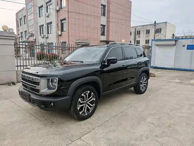 Harvard Harvard Dog Haval Big Dog 2024 1.5t Dct Border Collie Edition — фото
