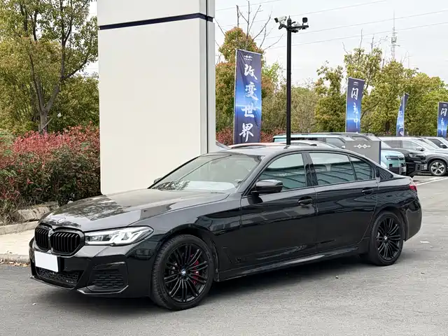 Bmw Bmw 5 Series Bmw 5 Series 2019 530li Exclusive M Sports Package — фото