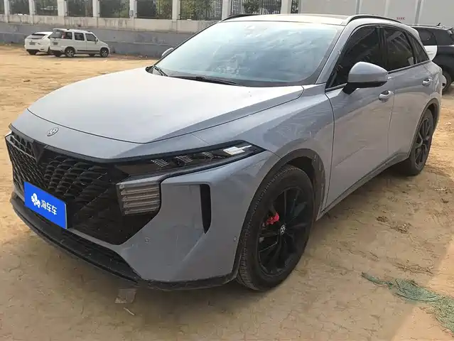 Qichen Venucia Big V Venucia V 2021 260t King Edition