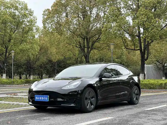 Tesla Model 3 Model 3 2022 Rear-Wheel Drive Version