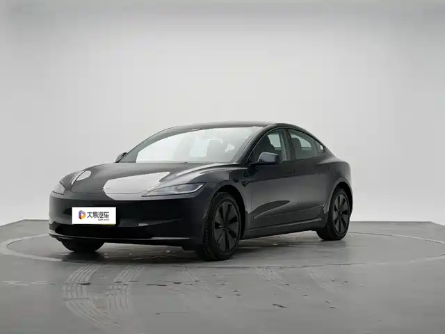 Tesla Model 3 Model 3 2025 Rear-Wheel Drive Version