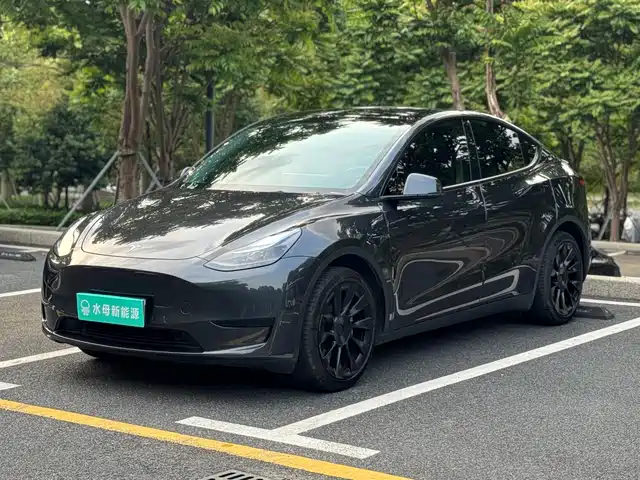Tesla Model Y Model Y 2024 Rear-Wheel Drive Version — фото