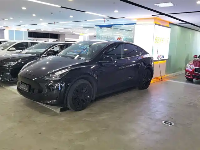 Tesla Model Y Model Y 2022 Facelift Rear-Wheel Drive Version — фото