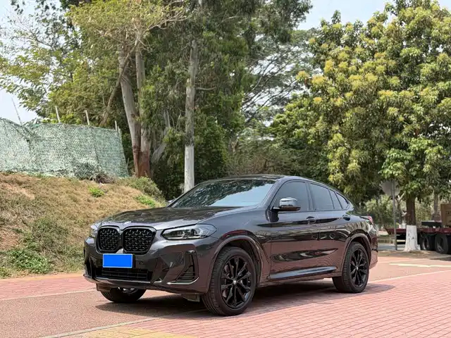 Bmw Bmw X4 Bmw X4 2022 Xdrive 30i M Sports Night Package