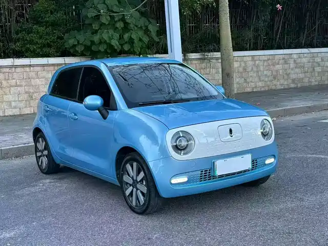 Euler Euler Black Cat Euler Black Cat 2021 351km Standard Model — фото