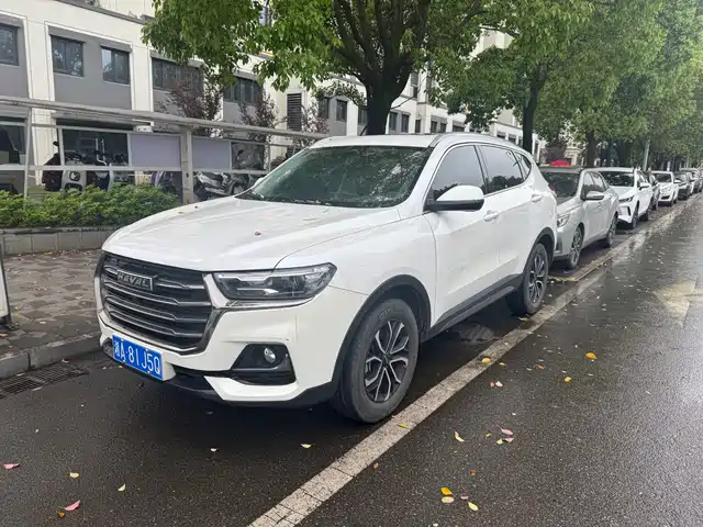 Harvard Haval H6 Haval H6 2021 National Fashion Edition 1.5t Automatic Urban Edition — фото