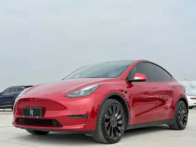 Tesla Model Y Model Y 2022 Facelift Rear-Wheel Drive Version