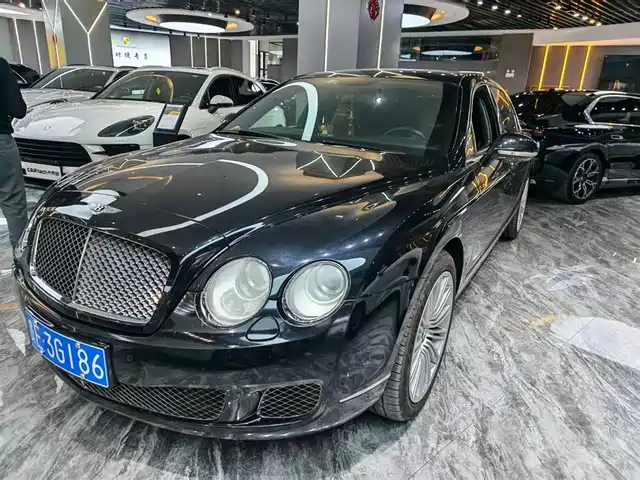 Bentley Galloping Mercedes-Benz 2010 Speed ​​China 6.0t