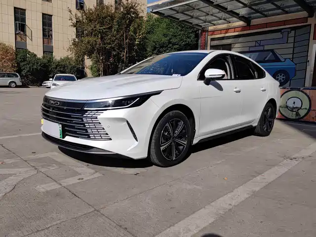 Byd Destroyer 05 Destroyer 05 2023 Champion Edition Dm-I 55km Luxury Type — фото
