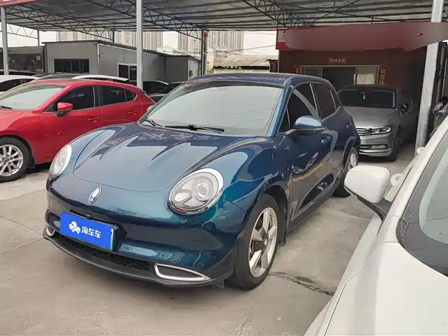 Euler Euler Good Cat Euler Good Cat 2022 Model 400km Standard Battery Life Luxury Model Ternary Lithium