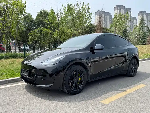 Tesla Model Y Model Y 2022 Rear-Wheel Drive Version — фото