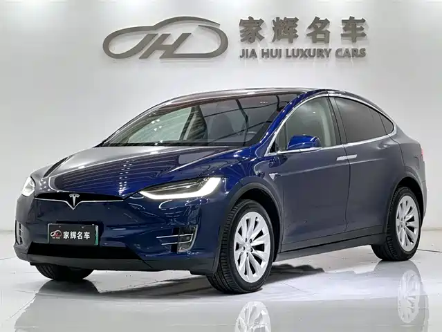 Tesla Model X Model X 2017 Model X 100d Long Range Edition — фото