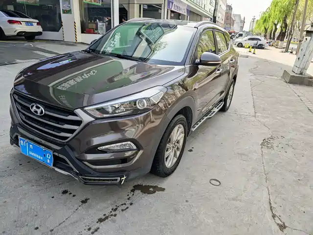 Hyundai Tucson Tucson 2015 1.6t Dual-Clutch Two-Wheel Drive Intelligent Model — фото