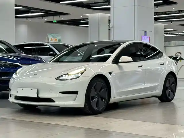 Tesla Model 3 Model 3 2021 Standard Range Rear Drive Upgraded Version — фото