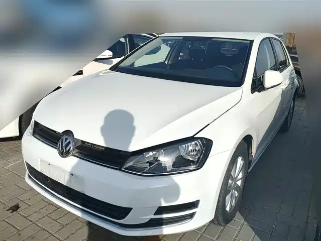 Volkswagen Golf Golf 2016 1.6l Automatic Fashion Model — фото