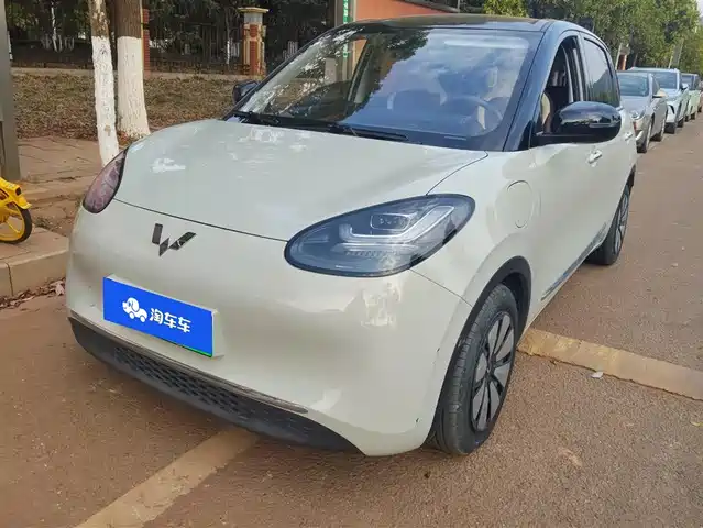 Wuling Motors Wuling Bingo Wuling Bingo 2023 Model 333km Yuexiang Model
