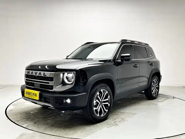 Harvard Harvard Dog Haval Big Dog 2024 1.5t Dct Border Collie Edition