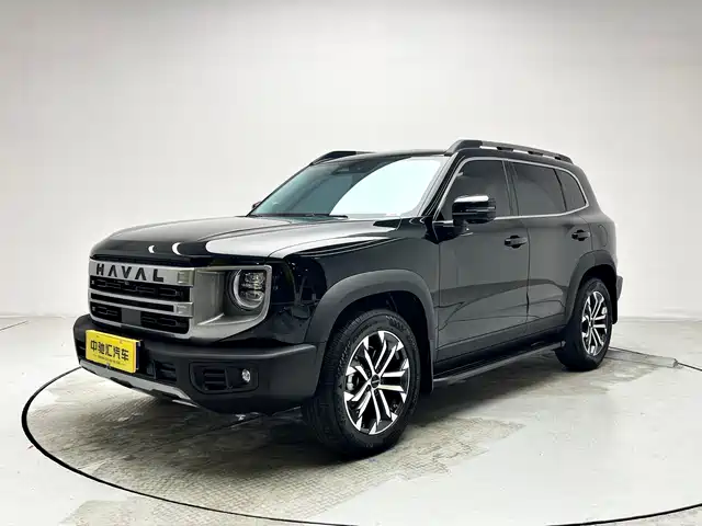 Harvard Harvard Dog Haval Big Dog 2024 1.5t Dct Border Collie Edition