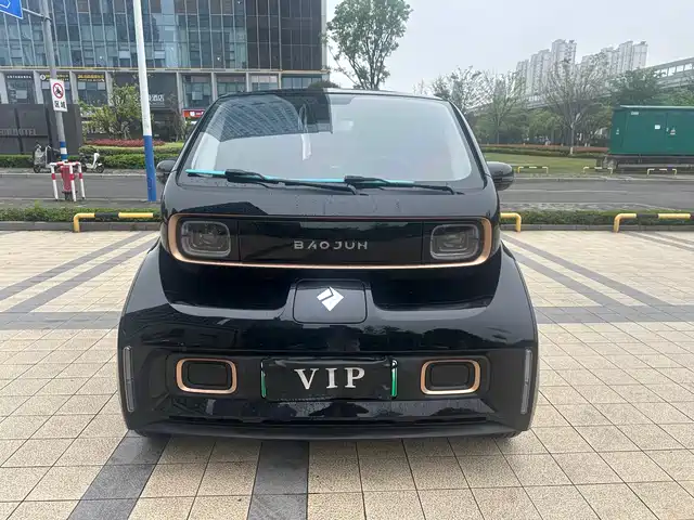 Baojun Baojun Kiwi Ev Baojun Kiwi Ev 2022 Artist’S Light Edition Ternary Lithium