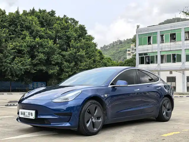 Tesla Model 3 Model 3 2020 Standard Range Rear Drive Upgraded Version