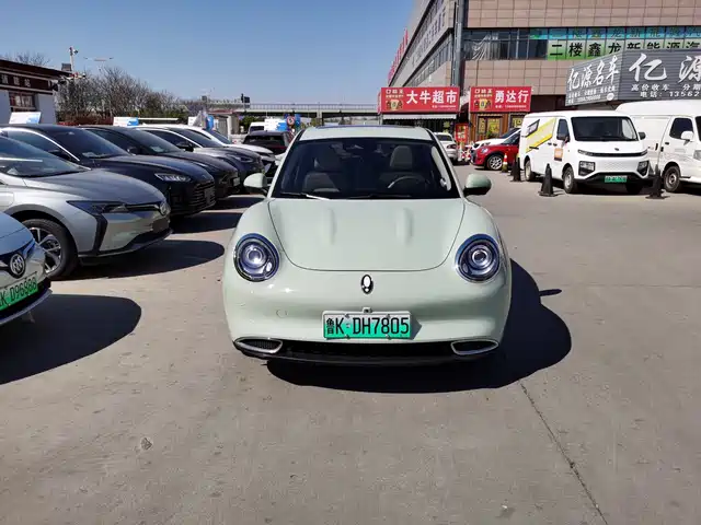 Euler Euler Good Cat Euler Good Cat 2023 Model 401km Standard Range Honor Type Lithium Iron Phosphate