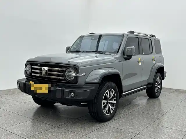 Tank Tank 300 Tank 300 2023 City Edition 2.0t Very Stylish — фото