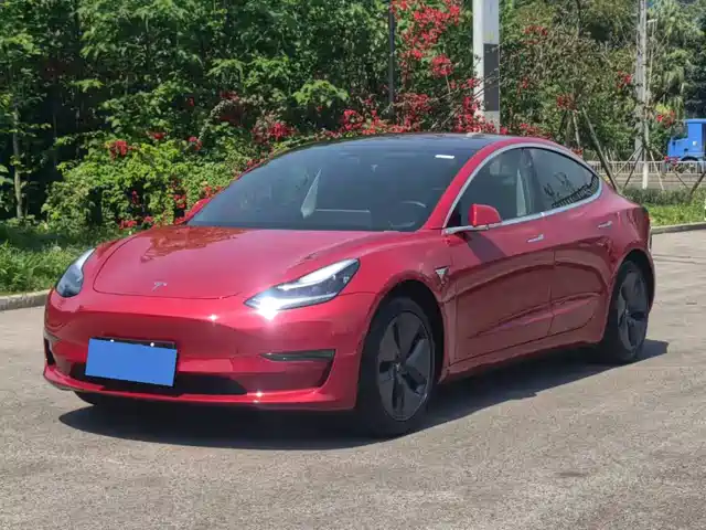 Tesla Model 3 (imported) Model 3 Imported 2019 Long Range Rear Drive Version — фото