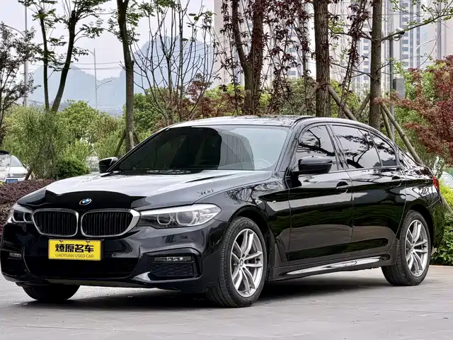 Bmw Bmw 5 Series Bmw 5 Series 2019 525li M Sports Package