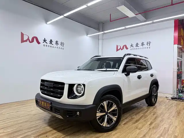 Harvard Harvard Dog Havaldog 2021 1.5t Dct Two-Wheel Drive Labrador Version