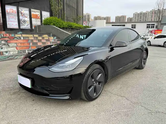 Tesla Model 3 Model 3 2021 Standard Range Rear Drive Upgraded Version 3d6 — фото