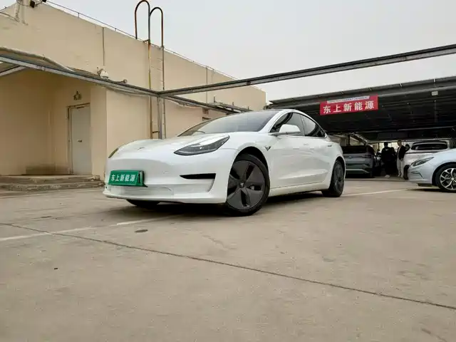 Tesla Model 3 Model 3 2020 Facelift Standard Range Rear-Wheel Drive Upgraded Version — фото