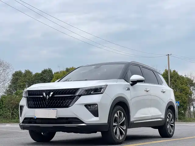 Wuling Motors Wuling Star Wuling Xingchen 2021 1.5t Cvt Xinghui Edition