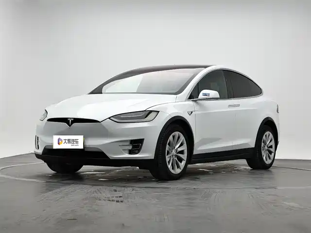 Tesla Model X Model X 2016 Model X 75d — фото