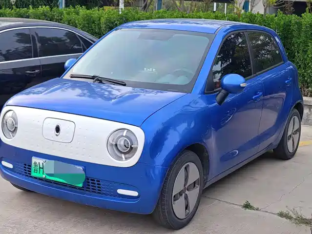 Euler Euler Black Cat Euler Black Cat 2019 310km Smart Edition