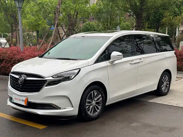 Buick Buick Gl8 Buick Gl8 2020 Es Lu Zun 653t Comfort Type — фото