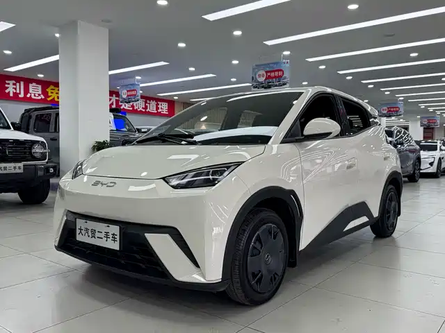 Byd Seagull Seagull 2024 Honor Edition 305km Vitality Edition