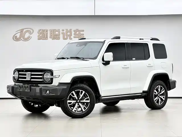 Tank Tank 300 Tank 300 2023 City Edition 2.0t Very Stylish