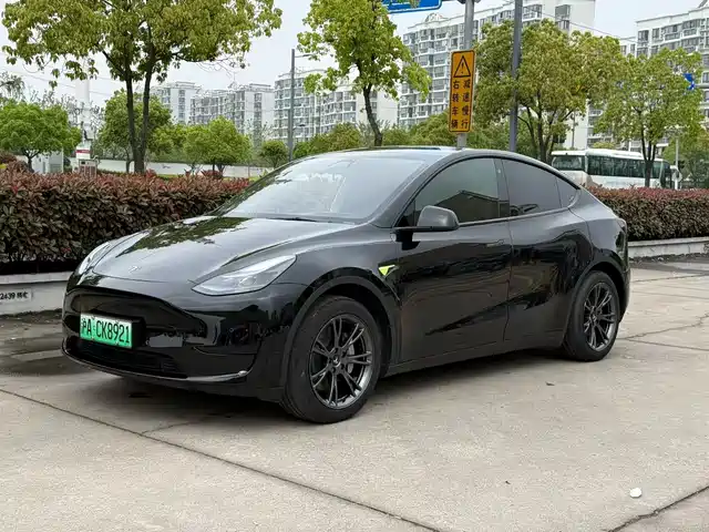 Tesla Model Y Model Y 2023 Rear-Wheel Drive Version — фото