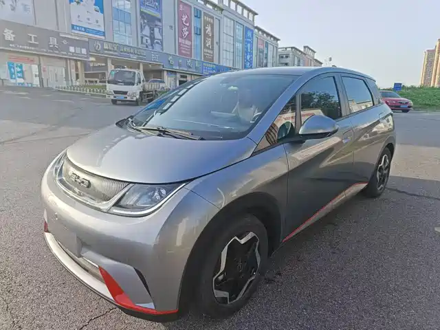 Byd Dolphin Dolphin 2021 405km Fashion Version — фото