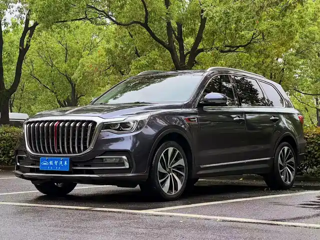 Red Flag Hongqi Hs7 Hongqi Hs7 2019 3.0t Automatic Four-Wheel Drive Zhilian Qiling Version — фото